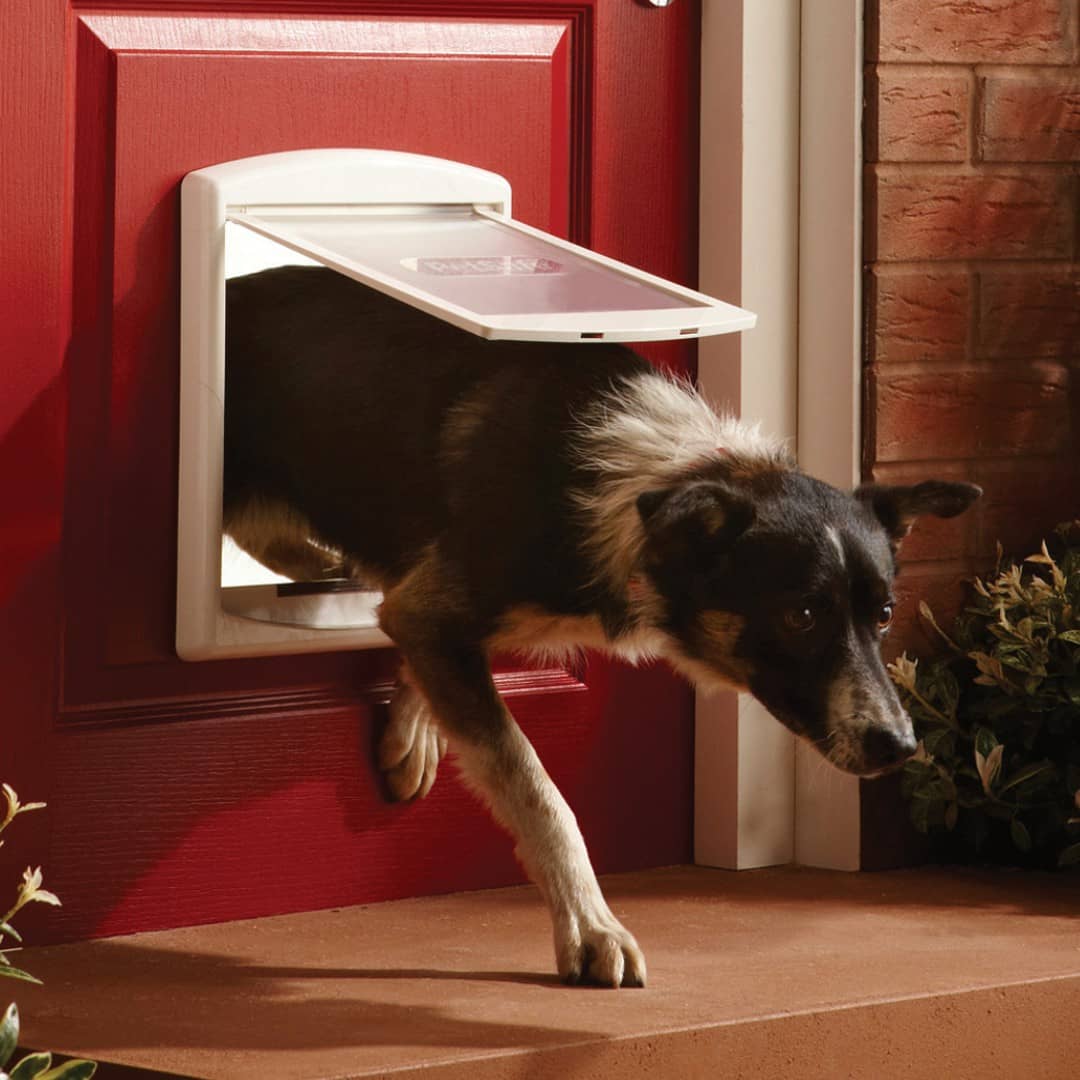 PetSafe Staywell Original M iebūvējamās durvis vidējiem suņiem – baltas